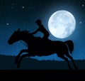 Silhouette of a rider on a running horse Royalty Free Stock Photo