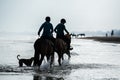 Silhouette of Riders at the beach riding horses