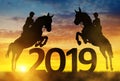 Silhouette the riders on the horse jumping into the New Year 2019. Royalty Free Stock Photo