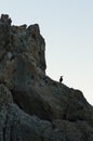 Silhouette of a rock and cormorant on a sky background