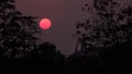 Silhouette roof of temple with big tree during sunset Royalty Free Stock Photo