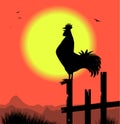 Silhouette of rooster