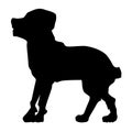 Silhouette of rottweiler