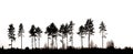 Silhouette of row of conifer trees Royalty Free Stock Photo