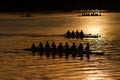 Silhouette rowers on water at sunrise Royalty Free Stock Photo