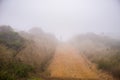 Silhouette of a runner in the Headlands area of Golden Gate National Recreation Area on a foggy summer day, Marin County, Royalty Free Stock Photo