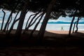 Silhouette of runner running on the beach. Silhouette of trees in front of the photo. Edit space