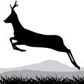 Silhouette of a running deer