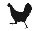 Running Chicken Silhouette