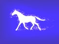 Silhouette of a running horse on a blue background Royalty Free Stock Photo