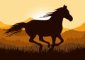 Silhouette of a running horse Royalty Free Stock Photo