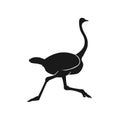 Silhouette running ostrich vector