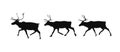 Silhouette of a running reindeer. Set of three deer. Vector Royalty Free Stock Photo