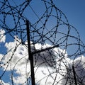 Silhouette rusty barbed wire against a cloudy sky and fence Royalty Free Stock Photo