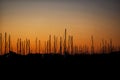 Silhouette of Sailboats at Sunrise