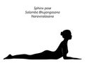 silhouette of Salamba Bhujangasana