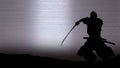 Silhouette of a samurai