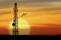 Silhouette of Satellite communication antenna with the sunset