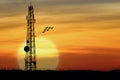 Silhouette of Satellite communication antenna with the sunset Royalty Free Stock Photo