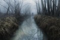 A silhouette of a scary, ghostly figure reflected in a forest stream. On a foggy, spooky, winters day