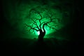 Silhouette of scary Halloween tree on dark foggy toned background with moon on back side. Royalty Free Stock Photo