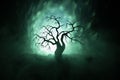 Silhouette of scary Halloween tree on dark foggy toned background with moon on back side. Royalty Free Stock Photo