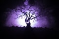 Silhouette of scary Halloween tree with horror face on dark foggy toned background with moon on back side. Scary horror tree with Royalty Free Stock Photo