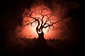 Silhouette of scary Halloween tree with horror face on dark foggy toned background with moon on back side. Scary horror tree with