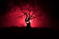 Silhouette of scary Halloween tree with horror face on dark foggy toned background with moon on back side. Scary horror tree with Royalty Free Stock Photo