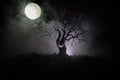 Silhouette of scary Halloween tree with horror face on dark foggy toned background with moon on back side. Scary horror tree with Royalty Free Stock Photo