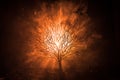 Silhouette of scary Halloween tree with horror face on dark foggy toned background with moon on back side. Scary horror tree with Royalty Free Stock Photo