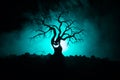 Silhouette of scary Halloween tree with horror face on dark foggy toned background with moon on back side. Scary horror tree with Royalty Free Stock Photo