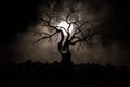 Silhouette of scary Halloween tree with horror face on dark foggy toned background with moon on back side. Scary horror tree with Royalty Free Stock Photo