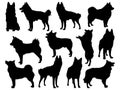 Set of Schipperke Dog silhouette vector art Royalty Free Stock Photo