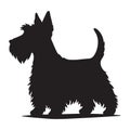 Silhouette of Scottish Terrier Dog Profile Art Royalty Free Stock Photo