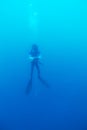 Silhouette of Scuba Diver near Sea Bottom Royalty Free Stock Photo