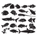 Silhouette of sea fishes. Vector illustration decorative design