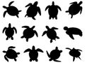 Set of Sea Turtle Silhouette vector art