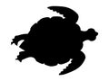 Silhouette of sea turtle