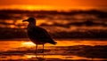 Silhouette of seagull flying into orange dawn generated by AI