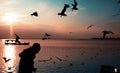 Silhouette seagulls above the sea and a man on the frame feeding the seagulls Royalty Free Stock Photo