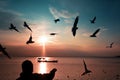 Silhouette seagulls above the sea and a man on the frame feeding the seagulls Royalty Free Stock Photo