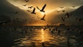 Silhouette of seagulls flying over tranquil sunset water generated by AI Royalty Free Stock Photo