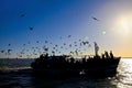 Silhouette of seagulls and passenger ferry