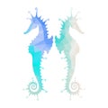 Silhouette of seahorse Royalty Free Stock Photo