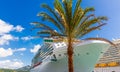 Silhouette of the Seas Behind Palm Tree