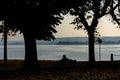 Silhouette of a seated man between two trees on a bench and looking at the lake.Italy, Arona. Royalty Free Stock Photo