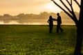 Silhouette of senior couple doing Tai Chi exercise in the park at sunrise. Royalty Free Stock Photo