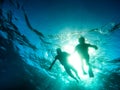 Silhouette of senior couple swimming together in tropical sea