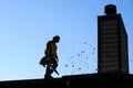 Silhouette of senior man with gas powered leaf blower cleaning roof gutters on an apartment building, fall maintenance Royalty Free Stock Photo